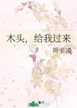 新上门女婿大结局