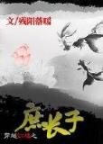 重生之篮球燃烧的岁月