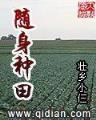 寻侠江湖轶事答题器