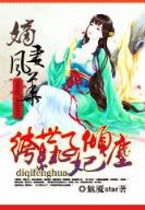 夜飞仙
