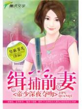 小说混在三国当军阀 作者：博乐彩票