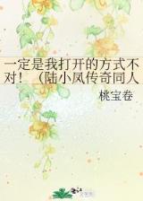汉风 小说 作者：彩神VⅡ
