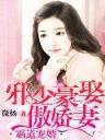法师的荣耀 作者：博乐吧娱乐网