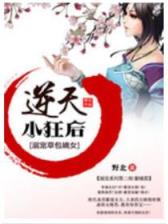 贼途 作者：天博网页版下载