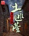 剩女时代电视剧全集
