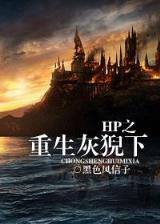 小说排行榜 完结 作者：加拿大28大神预测
