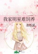 宝鉴无弹窗