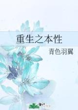 幸福巷520号 作者：网赚计划
