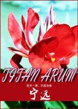 至尊都市游