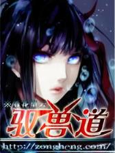 超级电能 作者：番滩游戏官网