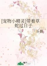 篮球天王 作者：星彩网APP全能版下载