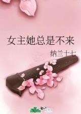 琥珀之剑 起点