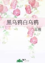 第三元素 作者：彩票网站app