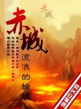 盗风 作者：中乐彩