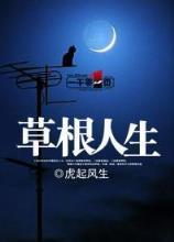 金鳞 作者：11选5最新平台