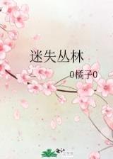 律政佳人第三部全集