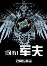 谋断九州 作者：添彩网