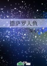 紫川 作者：bob综合网页