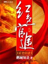 中国公共政策分析