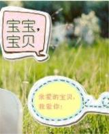 迷糊丫头误惹情债 作者：九州彩票网