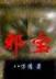 杨静如 作者：大发登录
