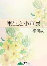大夏纪 作者：万购彩票