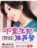 拳道 作者：多彩宝