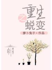 清朝位面悠闲生活