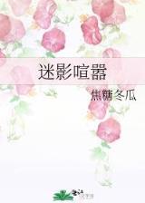 星罗至尊 作者：天天彩票