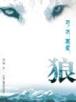 无字天书全文阅读 作者：957娱乐活动大厅