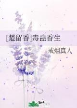 宠物小精灵之梦 作者：帝王快三