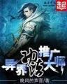 红楼之妻为夫纲 作者：老子有钱
